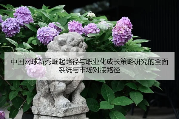 zhong-guo-wang-qiu-xin-xiu-jue-qi-lu-jing-yu-zhi-ye-hua-cheng-chang-ce-lve-yan-jiu-de-quan-mian-xi-tong-yu-shi-chang-2-941.jpg